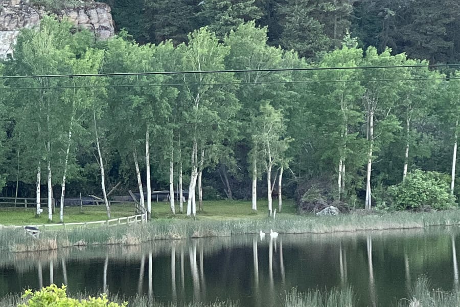 ARTProperty-somers-cottage-20