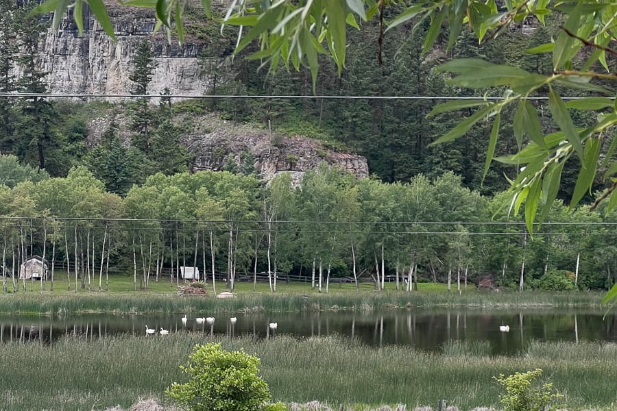 ARTProperty-somers-cottage-21